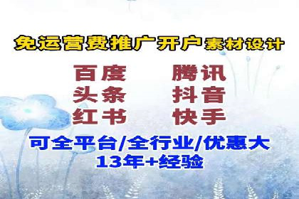 百度广告投放策略：成功案例解析